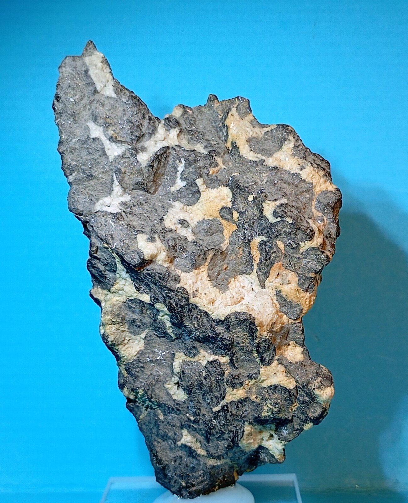 Esfalerita (variedad Marmatita)
Mina Reocín, Reocín, Municipio Reocín, Comarca Saja-Nansa, Cantabria, España
7,5 x 4 cm.
(Autor: Felipe Abolafia)