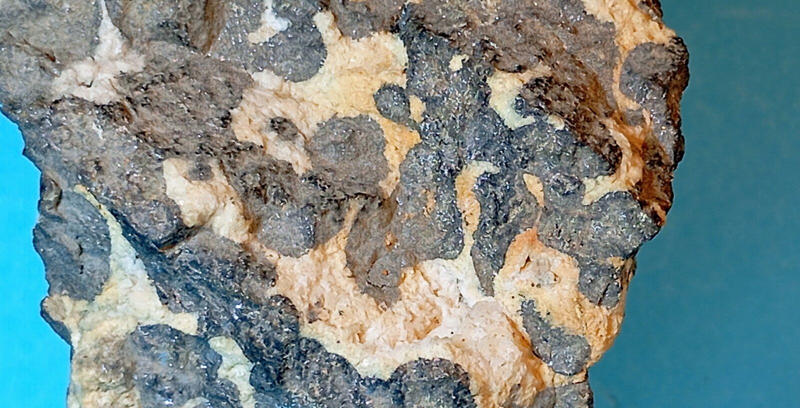 Esfalerita, (variedad Marmatita)
Reocín Mine, Reocín, Reocín Municipality, Comarca Saja-Nansa, Cantabria, Spain
7,5 x 4 cm.
(Autor: Felipe Abolafia)