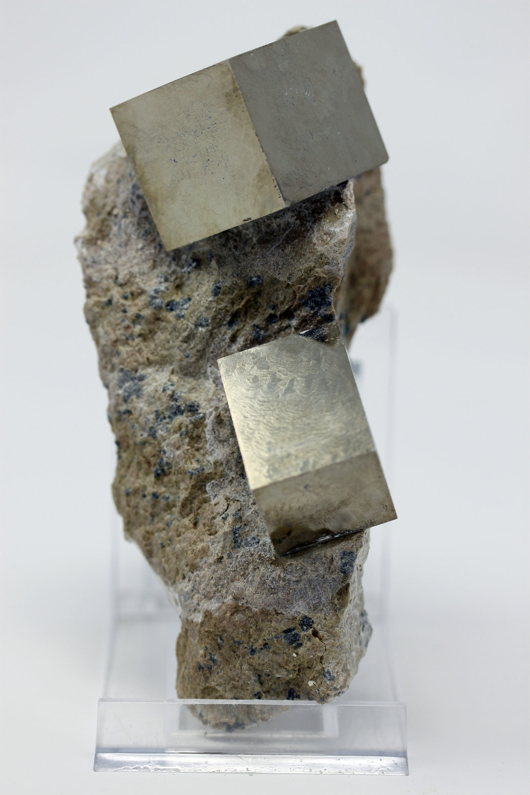 Pirita
13,5 x 7,0 cm.
(Autor: carles)