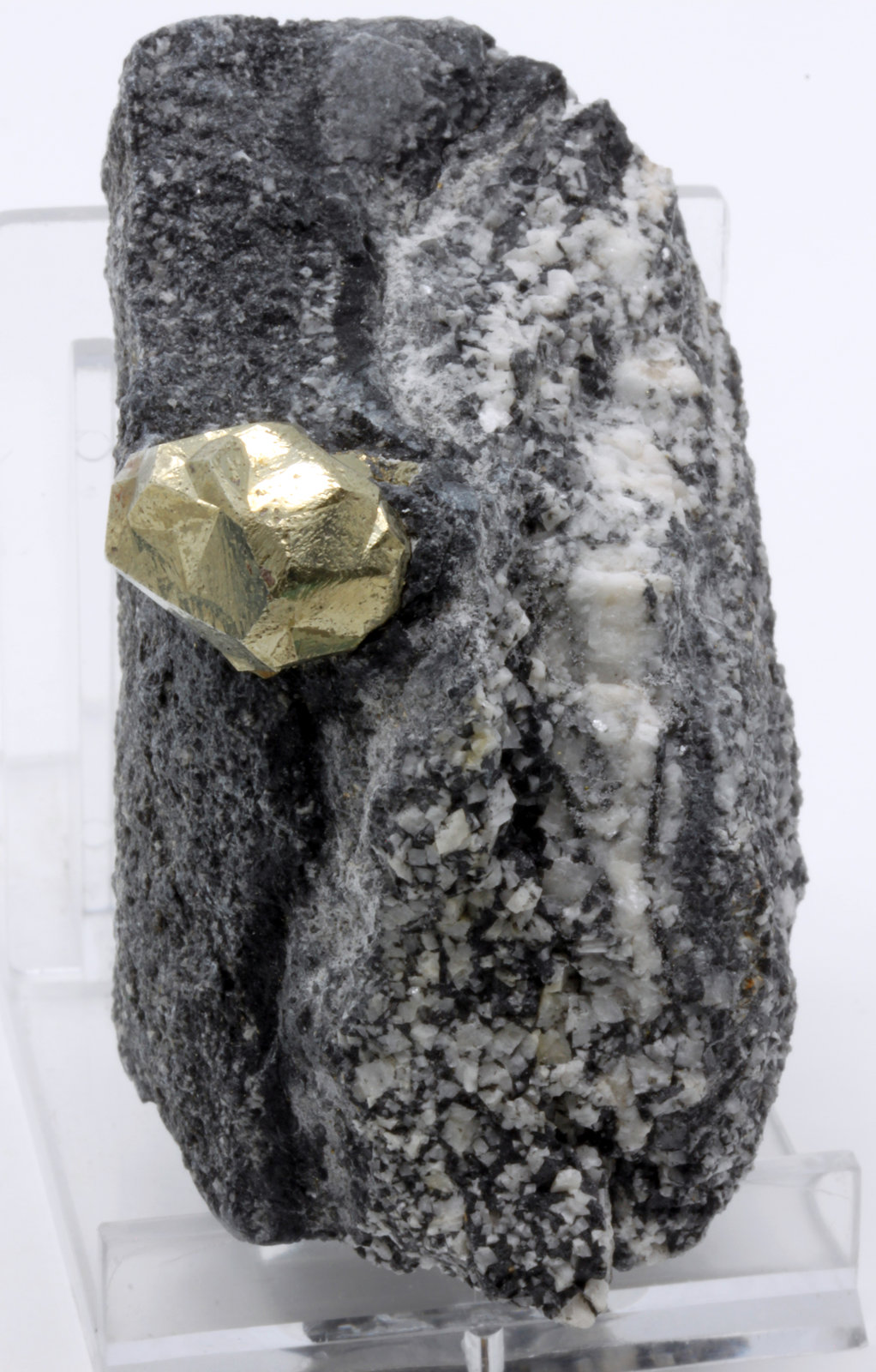 Pirita
3,7 x 6,5 cm.
(Autor: carles)