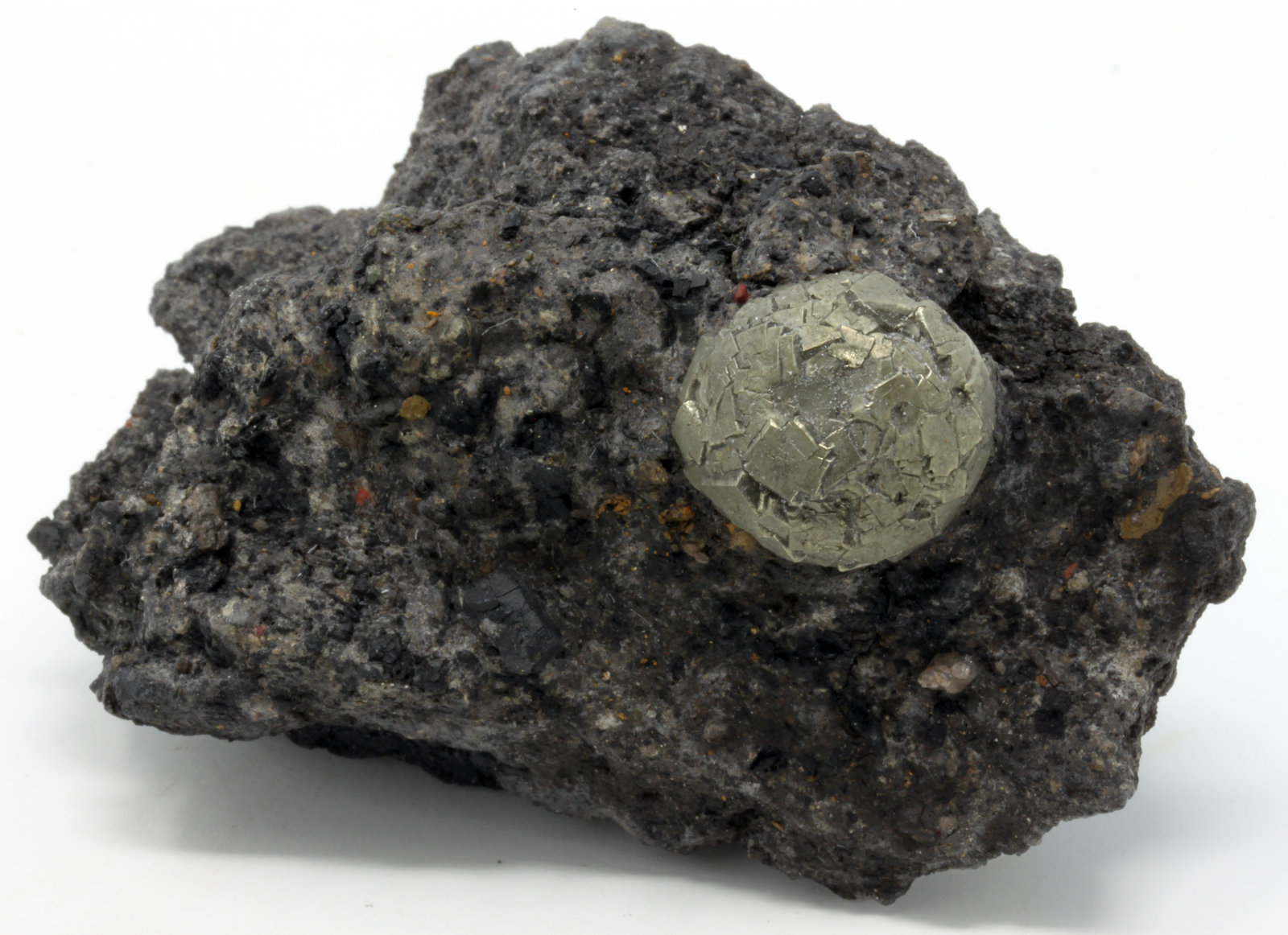 Pirita
7,0 x 4,2 cm.
(Autor: carles)