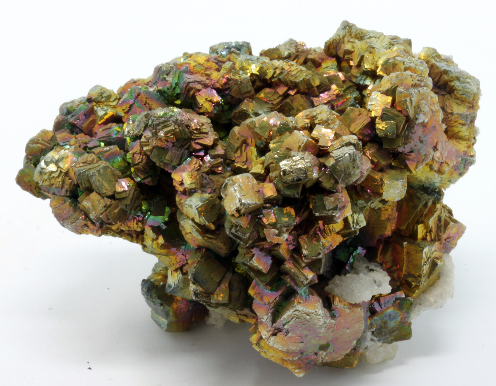 Pirita
5,9 x 4,2 cm.
(Autor: carles)