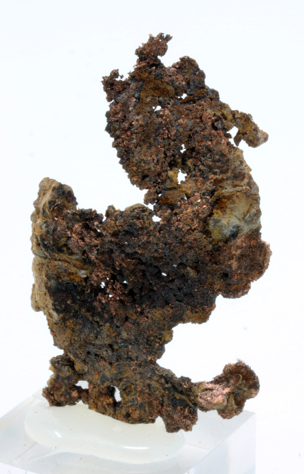 Cobre
5,6 x 3,0 cm.
(Autor: carles)
