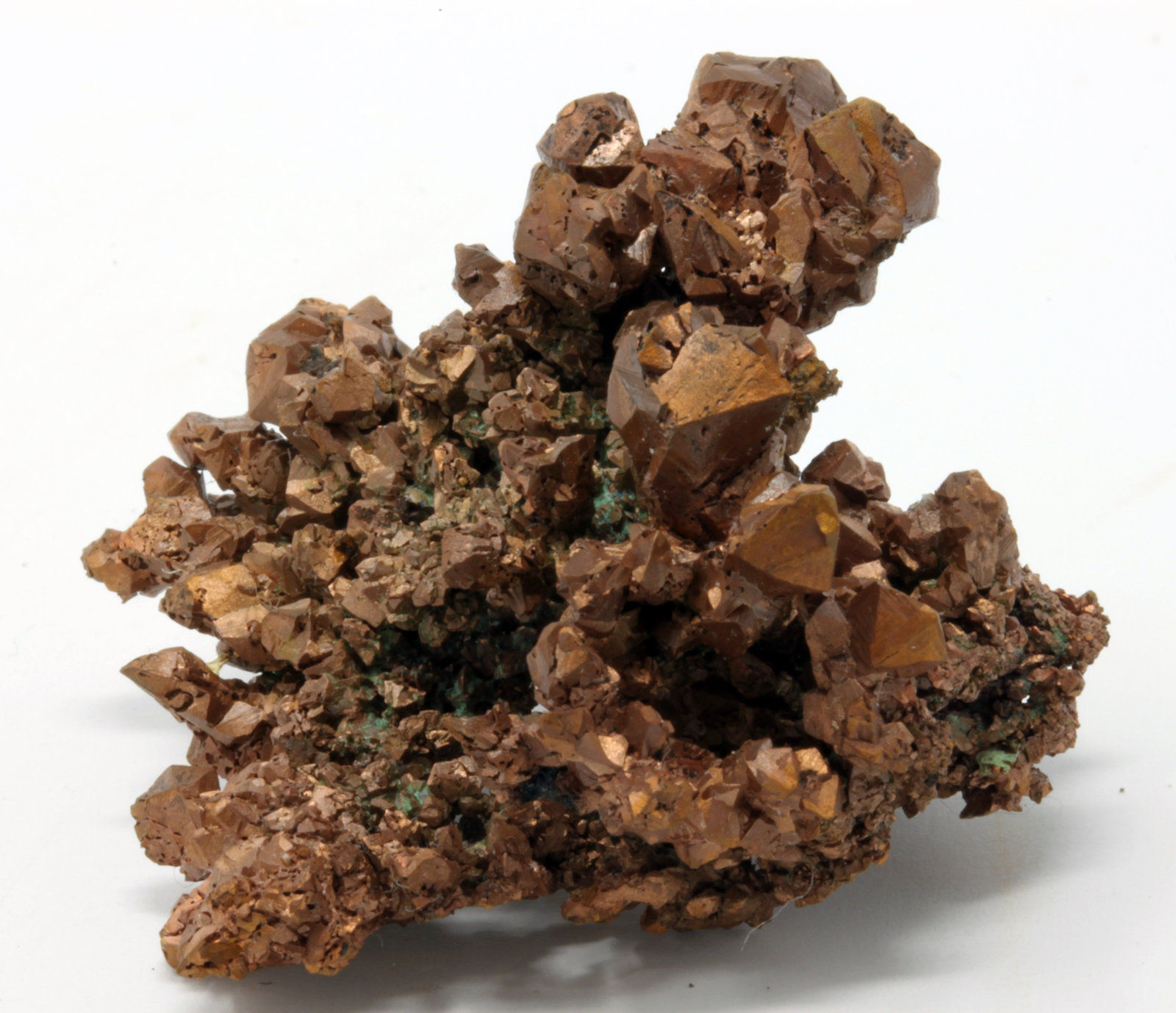 Cobre
3,9 x 3,0 cm.
(Autor: carles)