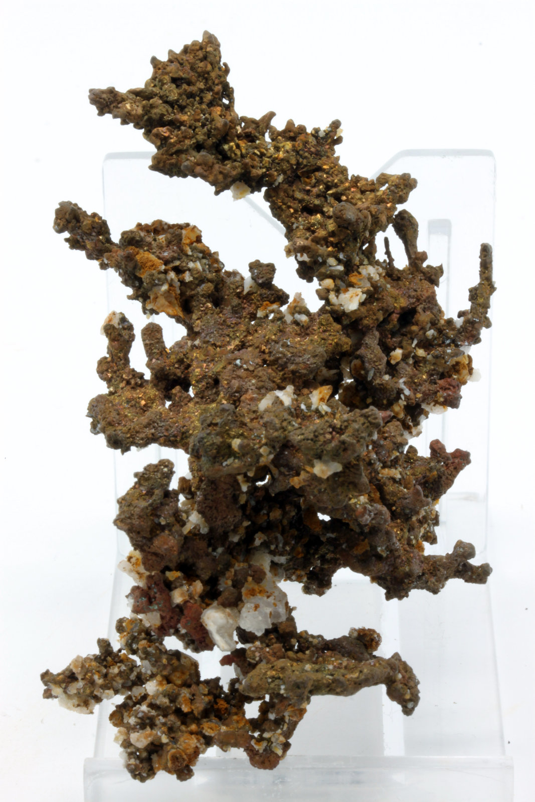 Cobre
7,7 x 4,4 cm.
(Autor: carles)