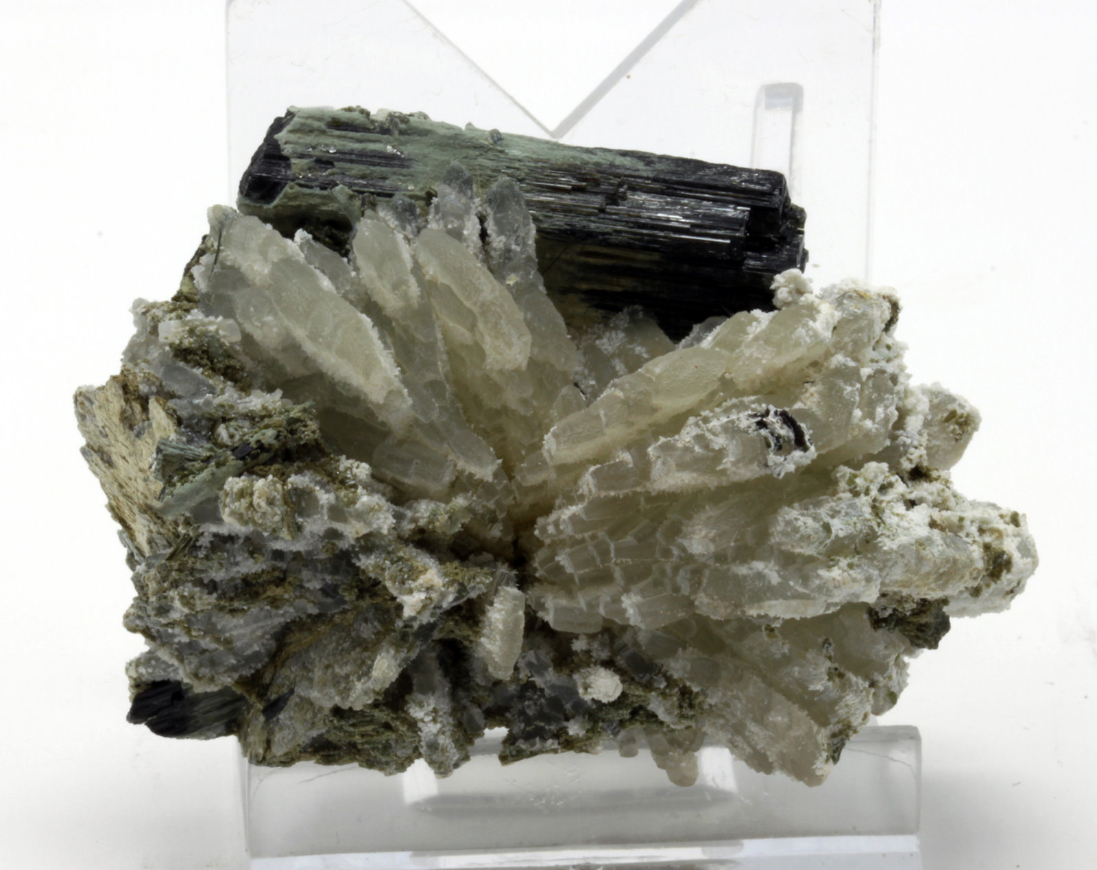 Prehnita, Actinolita, Ferro-actinolita
6,0 x 4,2 cm.
(Autor: carles)