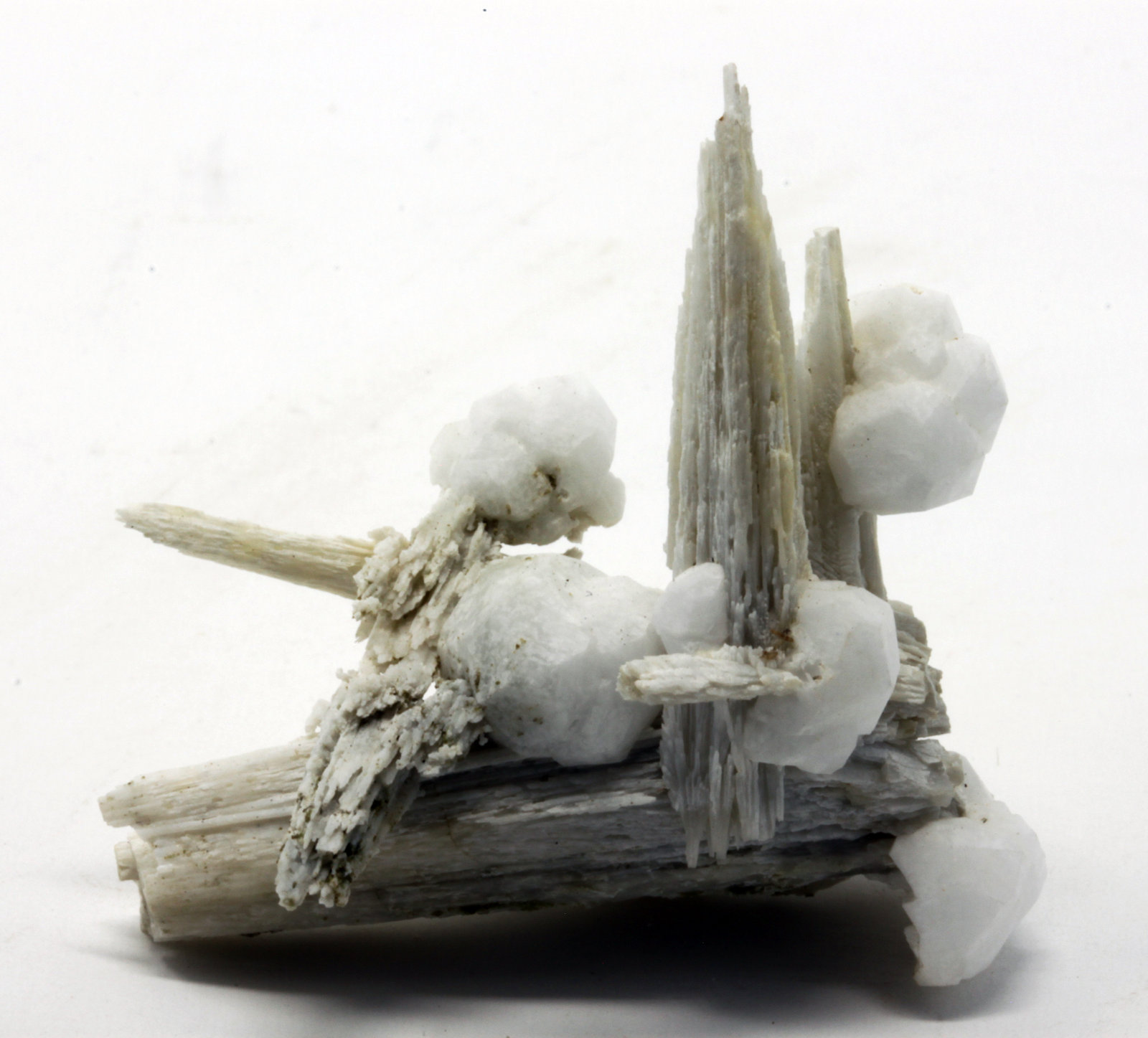 Prehnita, Analcima
3,6 x 3,4 cm.
(Autor: carles)