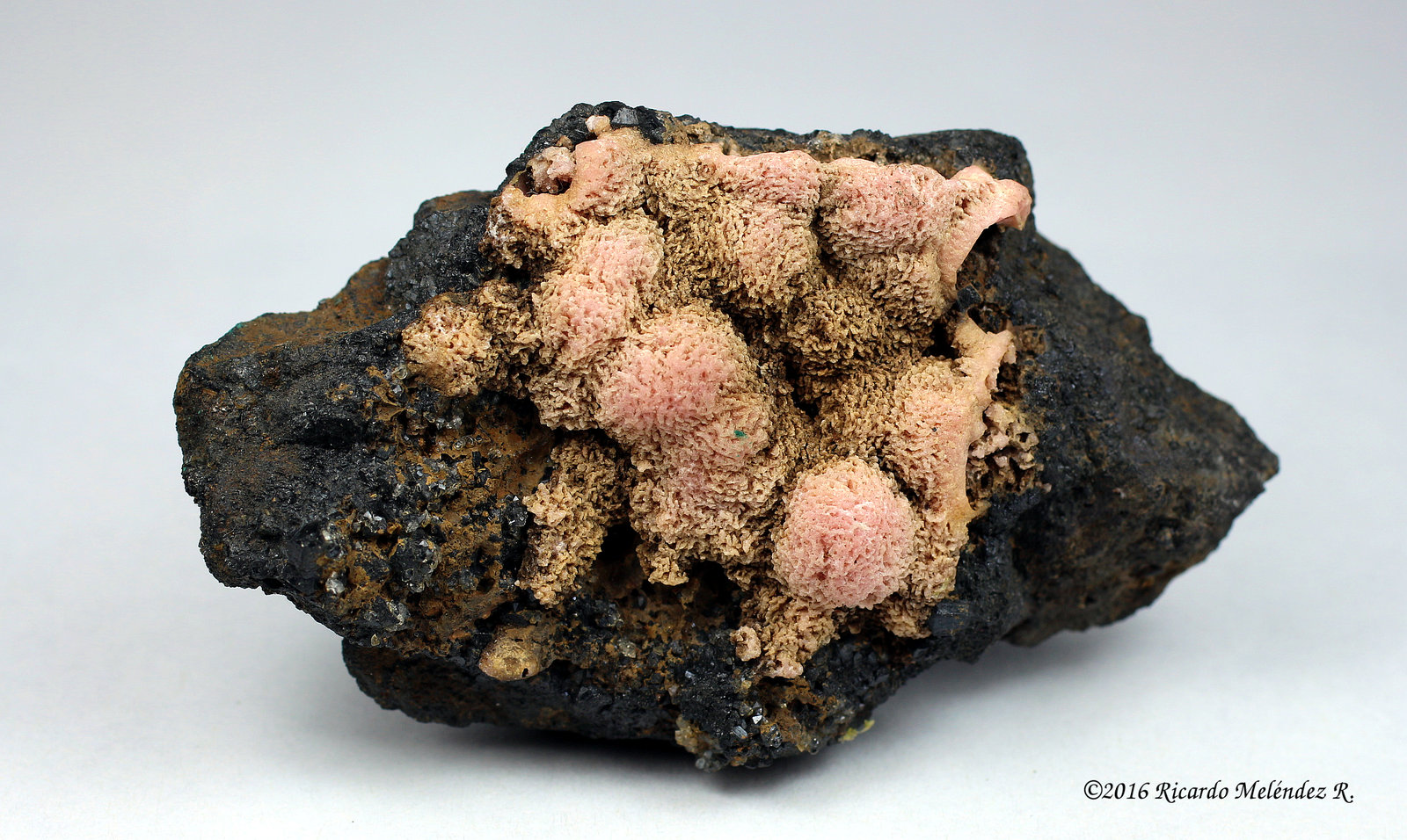 Rodocrosita, Ilvaita
9 x 5 x 3 centimetros
(Autor: Ricardo Melendez)