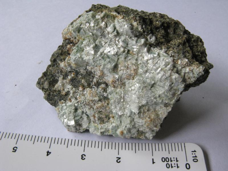 Talco
5x5 cm.
(Autor: Miguel Ángel Martinez)