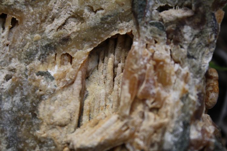 Aragonito
40 cm
(Autor: canada)