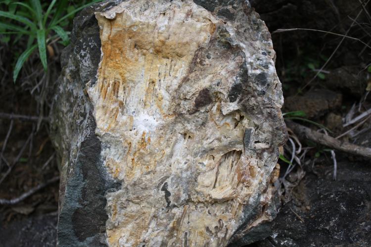 Aragonito
40 cm
(Autor: canada)