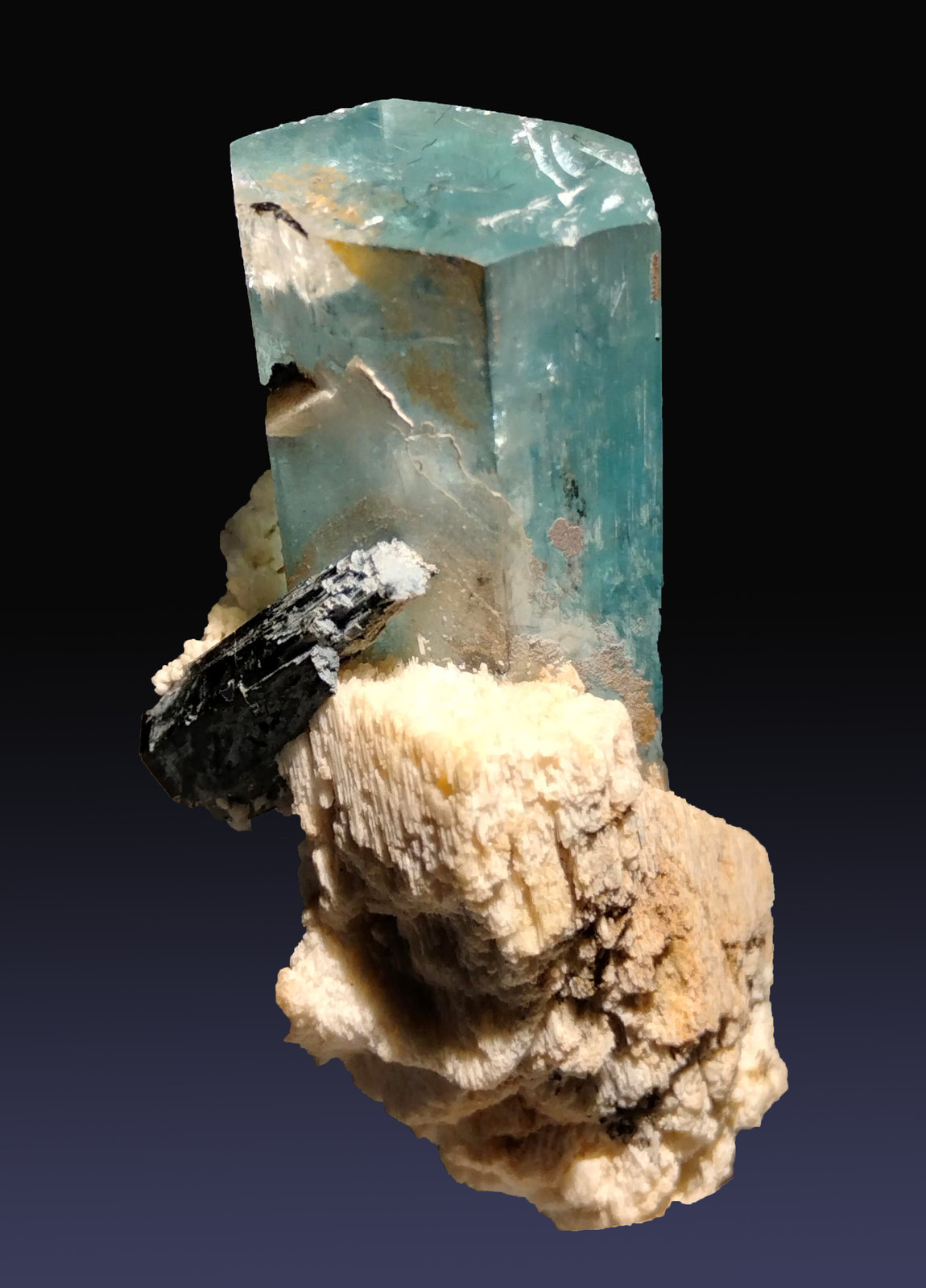 Berilo (variedad aguamarina) con Schorlo (Chorlo) y Ortoclasa
27 mm x 44 mm x 22 mm
(Autor: Firmo Espinar)