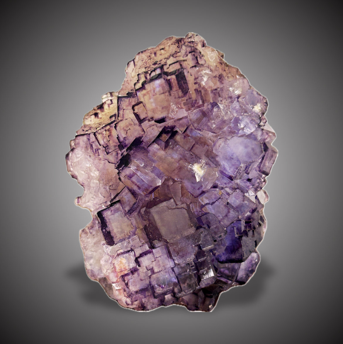 Fluorita
5,5x4cm.
(Autor: castrominerals)