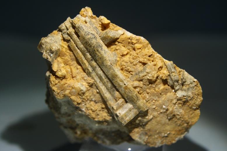 Clinozoisita
Cristal de 4x1 cm
(Autor: minero1968)