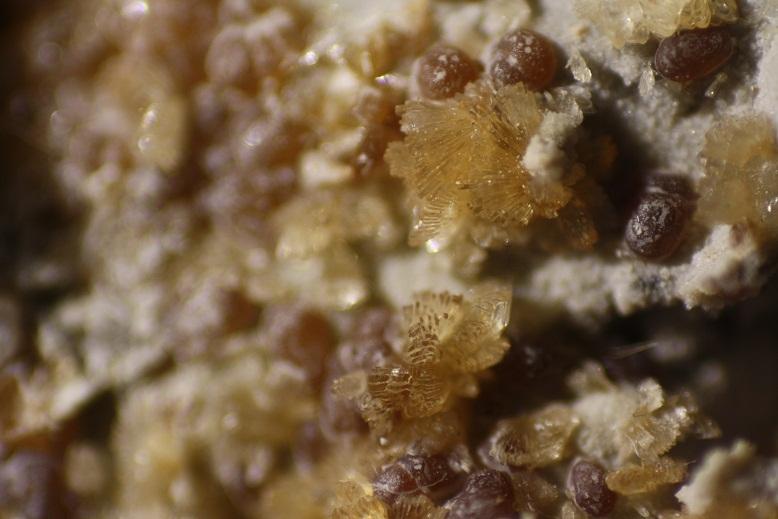 Auricalcita y Hemimorfita
Cristales de 1,5mm
(Autor: minero1968)