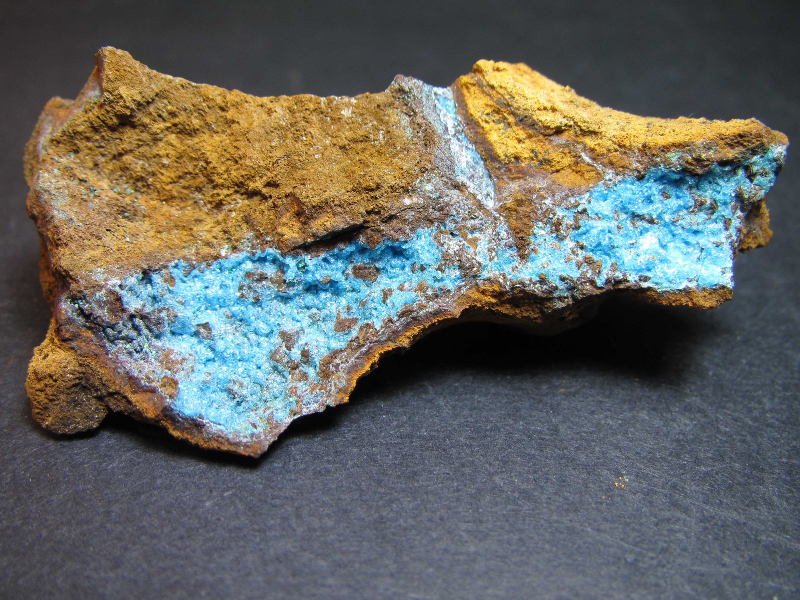 Alofana
6 x 3 cm.
(Autor: prcantos)