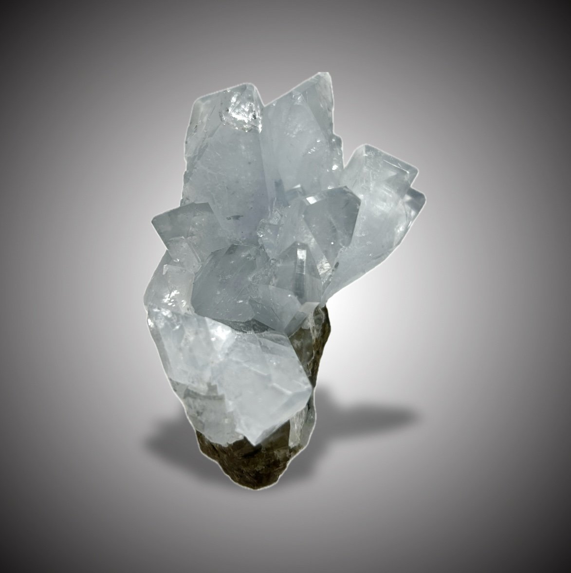 Celestina
7x5cm.
(Autor: castrominerals)