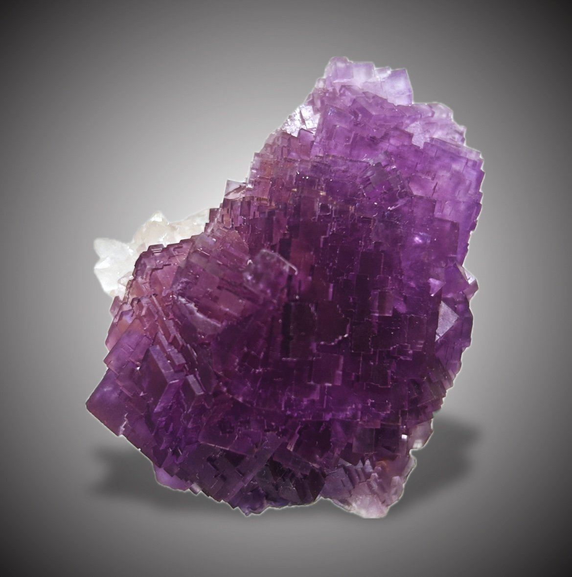 Fluorita y Cuarzo
6x5cm.
(Autor: castrominerals)