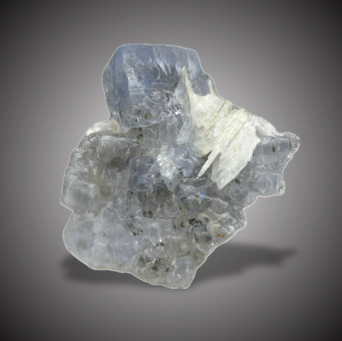 Fluorita y Barita
7x6,5cm.
(Autor: castrominerals)