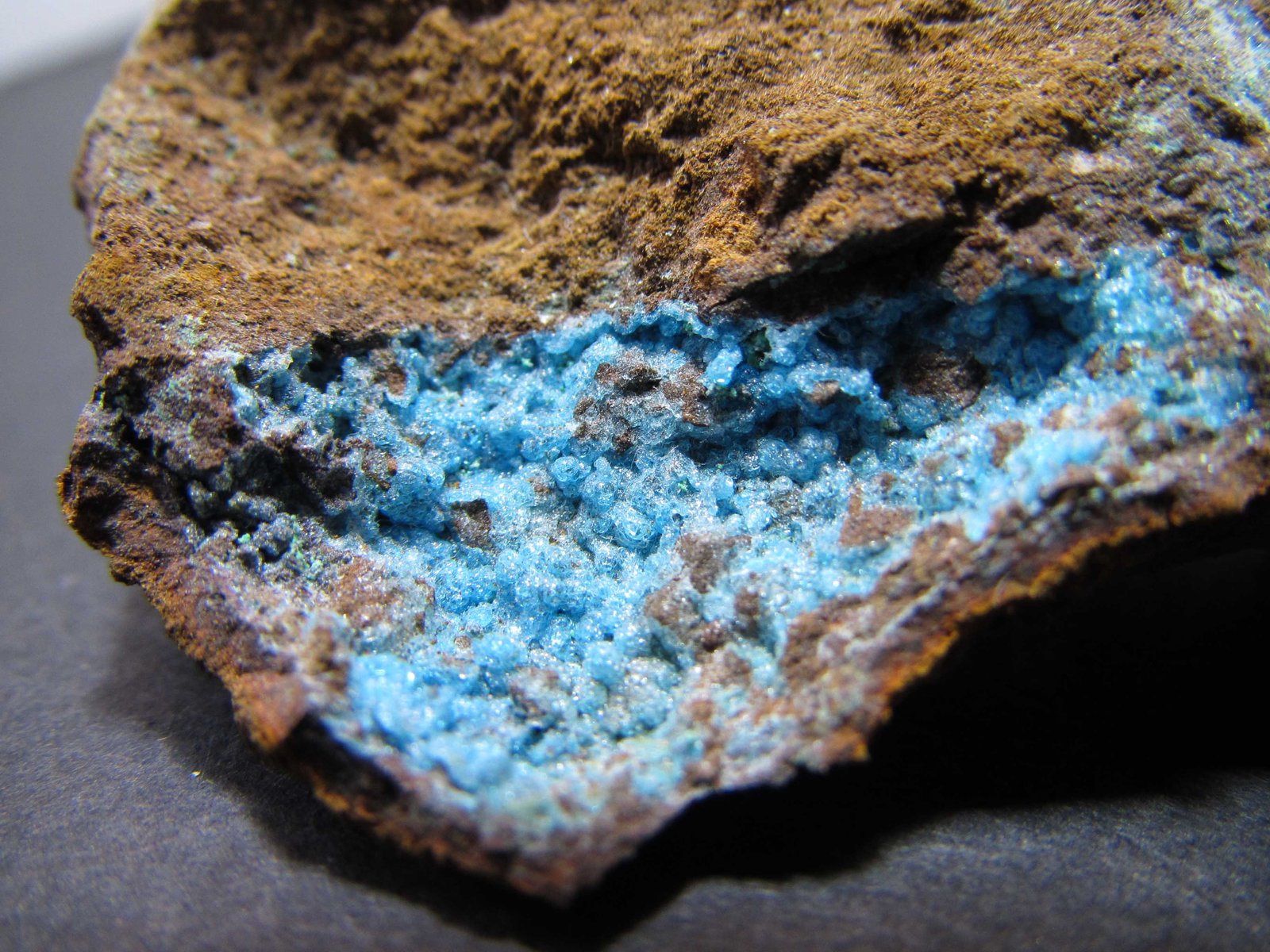 Alofana
3'5 cm. ancho de campo
(Autor: prcantos)