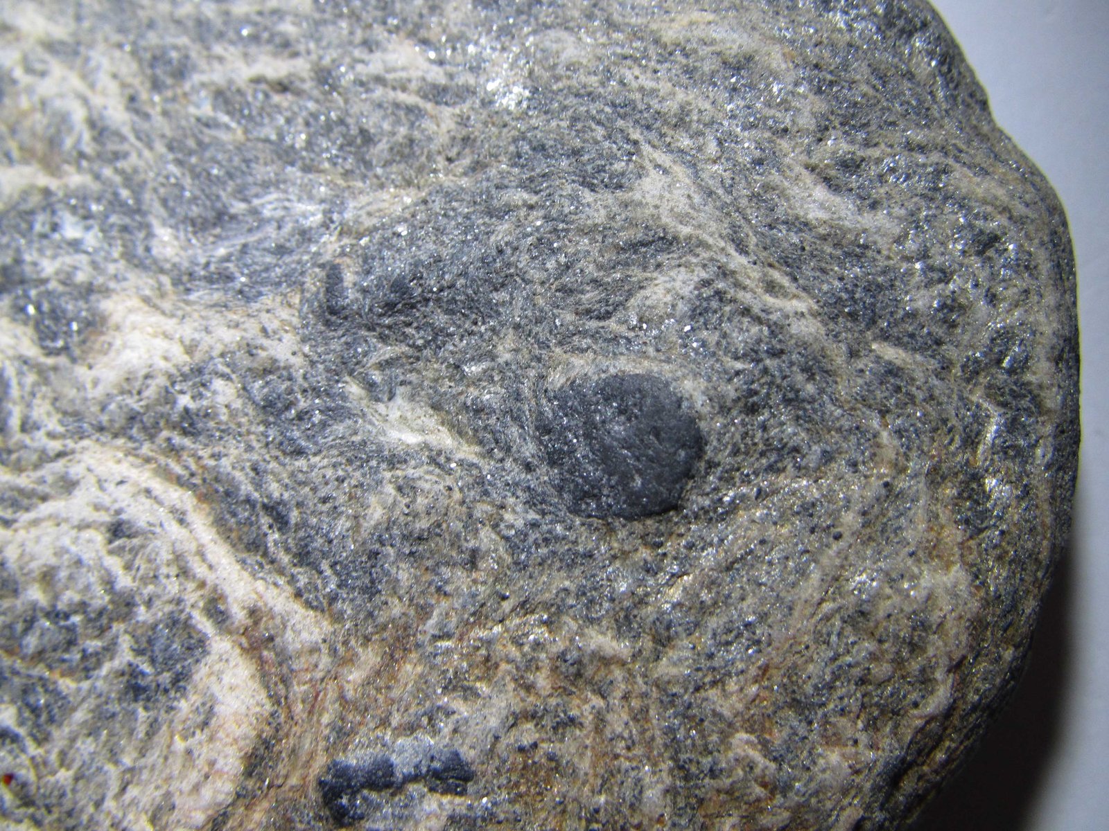 Micaesquisto con cloritoide
Cristal de 8x 6 mm.
(Autor: prcantos)
