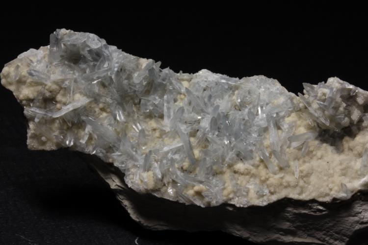 Celestina
80x40x21 mm
(Autor: carles)