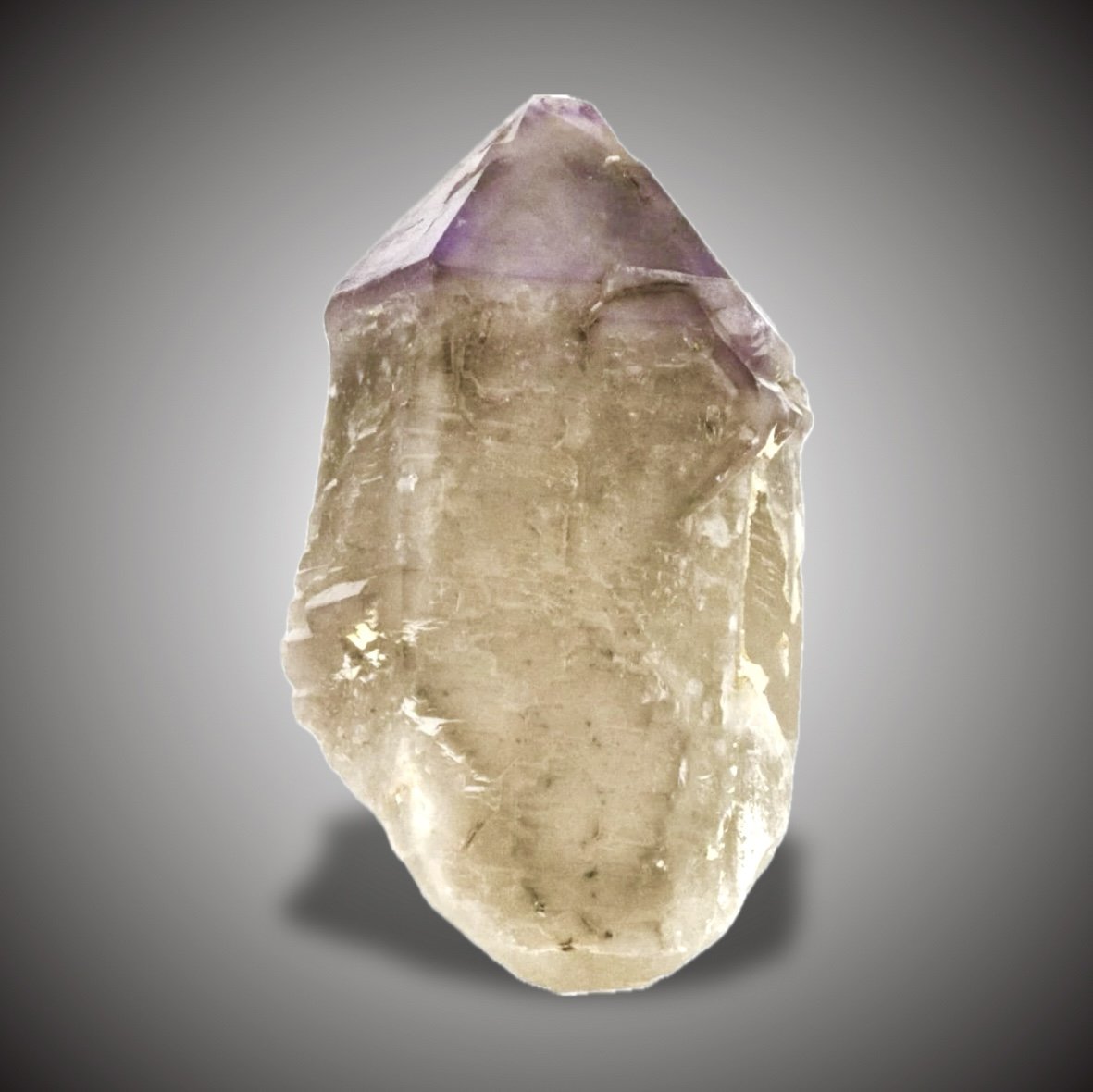 Cuarzo (variedad amatista), Cuarzo (variedad ahumado)
16,5x9cm.
(Autor: castrominerals)