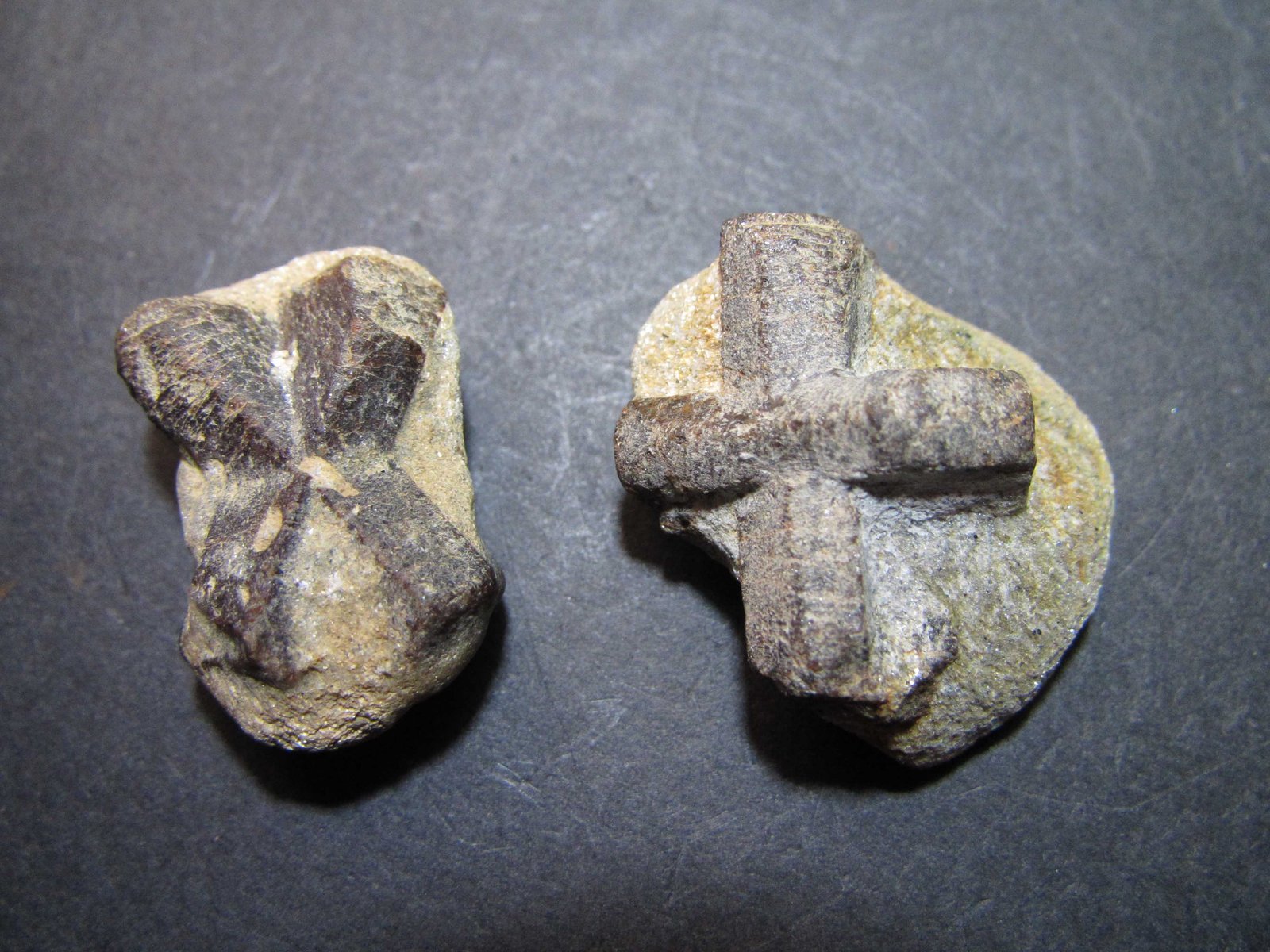 Estaurolita
1'5 x 2'5 cm. (izquierda), 2'5 x 2'5 cm. (derecha)
(Autor: prcantos)