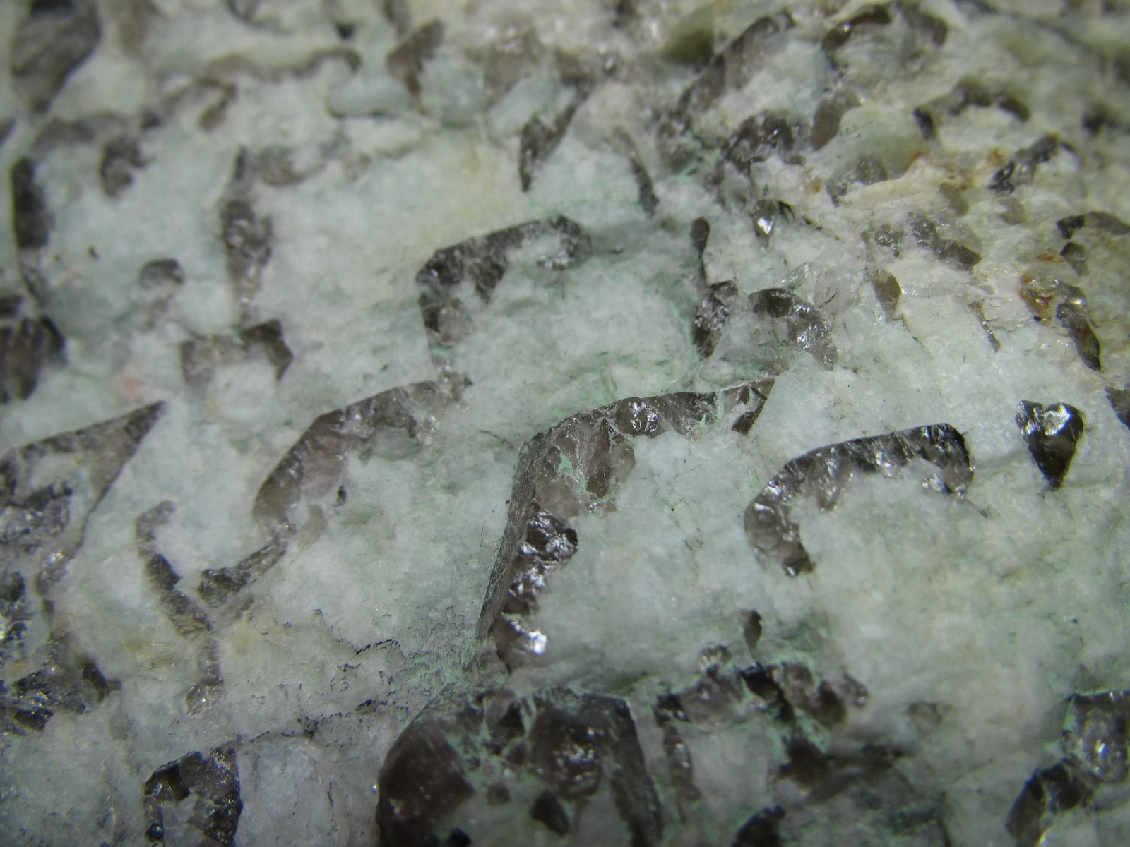 Granito gráfico
4 cm. ancho de campo
(Autor: prcantos)