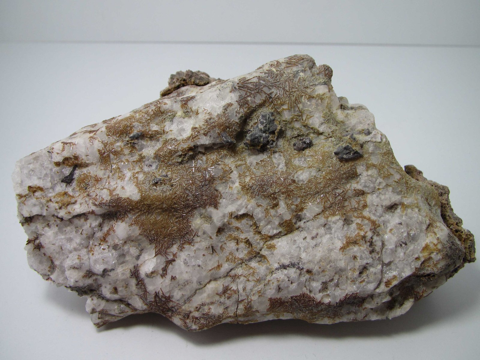 Xenolito de cuarzo con agujas de piroxeno
14 x 8 cm.
(Autor: prcantos)