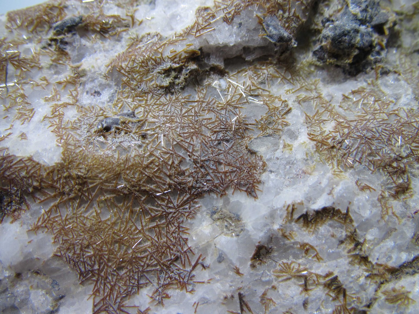 Xenolito de cuarzo con agujas de piroxeno
5 cm. ancho de campo
(Autor: prcantos)