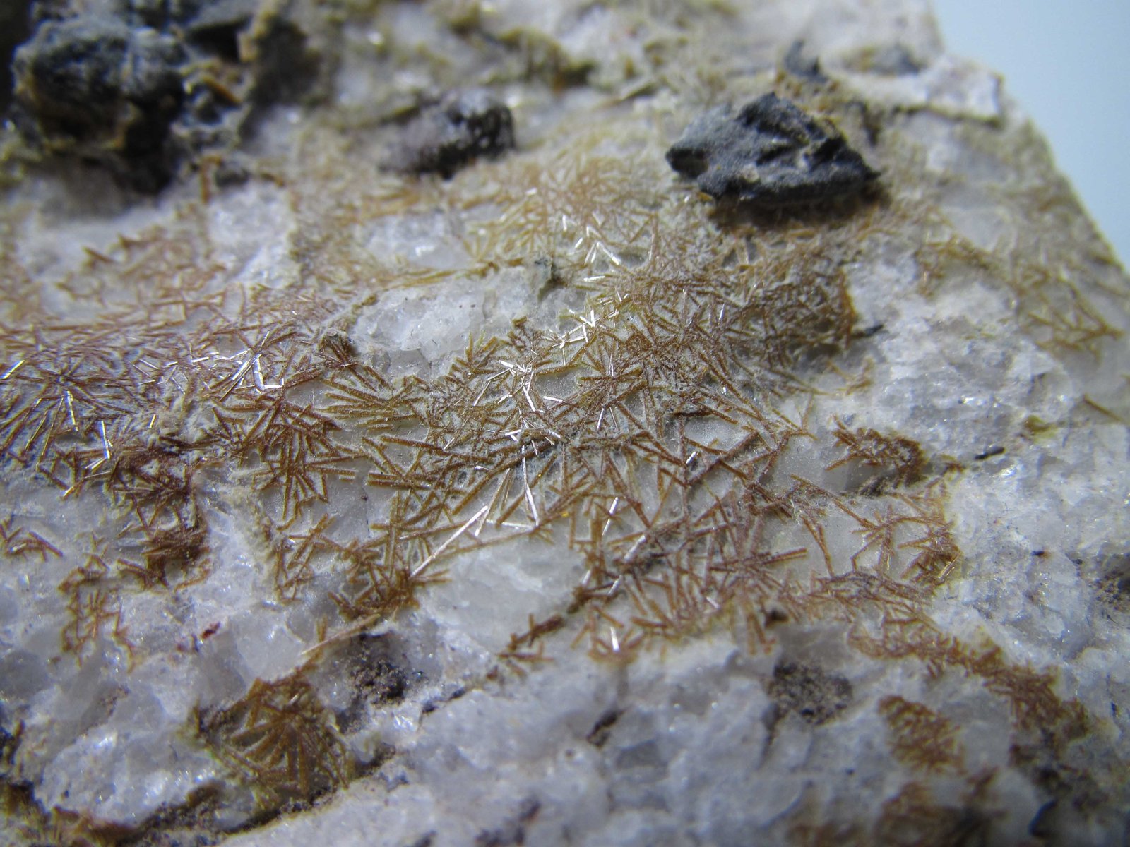 Xenolito de cuarzo con agujas de piroxeno
4 cm. ancho de campo
(Autor: prcantos)