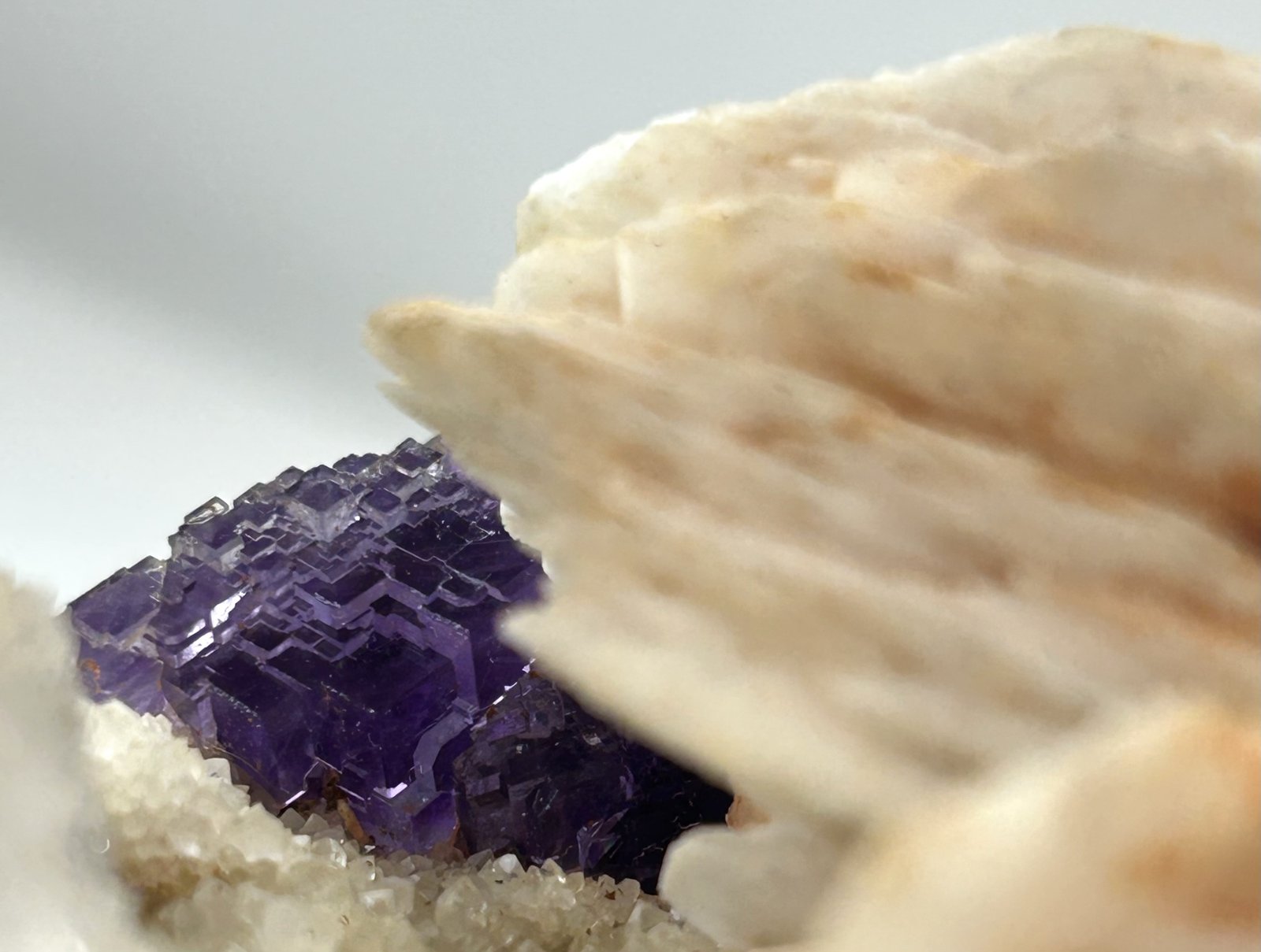 Fluorita y Barita
Cristal de 2 cm.
(Autor: castrominerals)