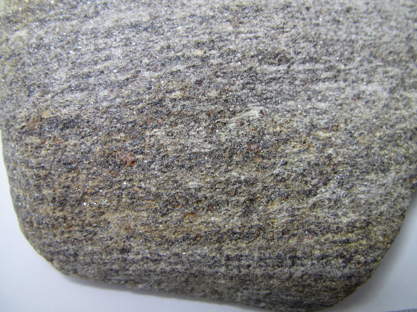 Paragneis
8 cm. ancho de campo
(Autor: prcantos)