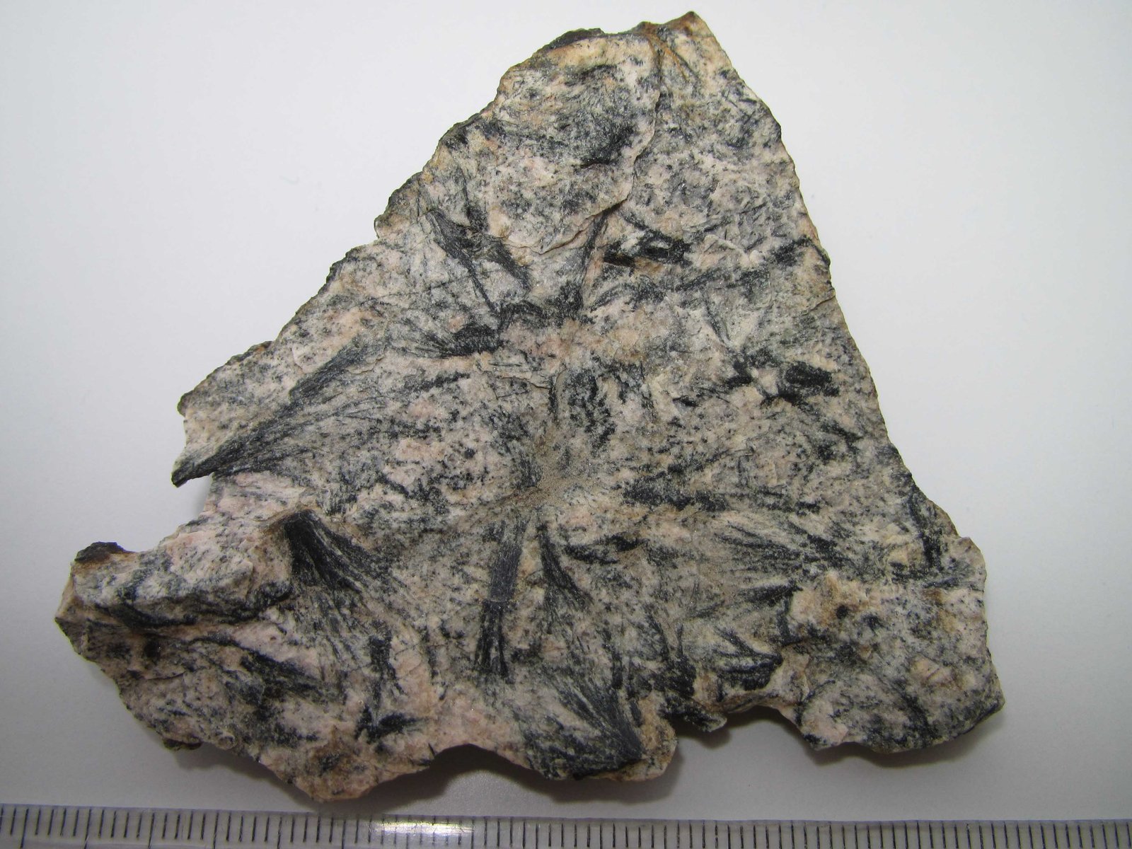 Metavulcanita
7 x 5 cm.
(Autor: prcantos)