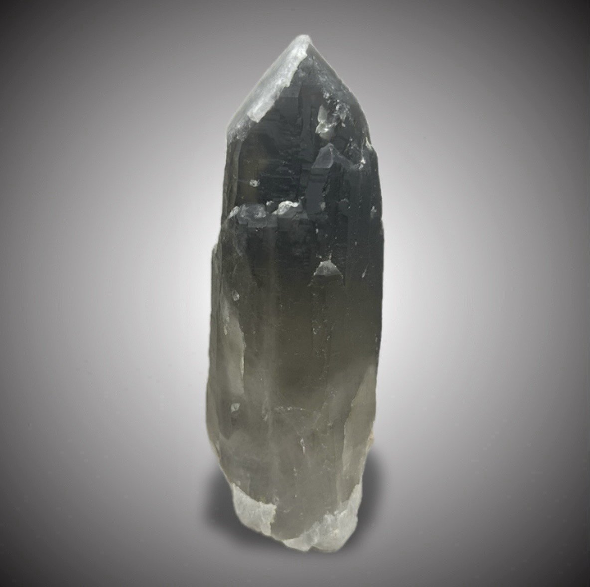 Cuarzo (variedades ahumado y lechoso)
12x4,5cm.
(Autor: castrominerals)