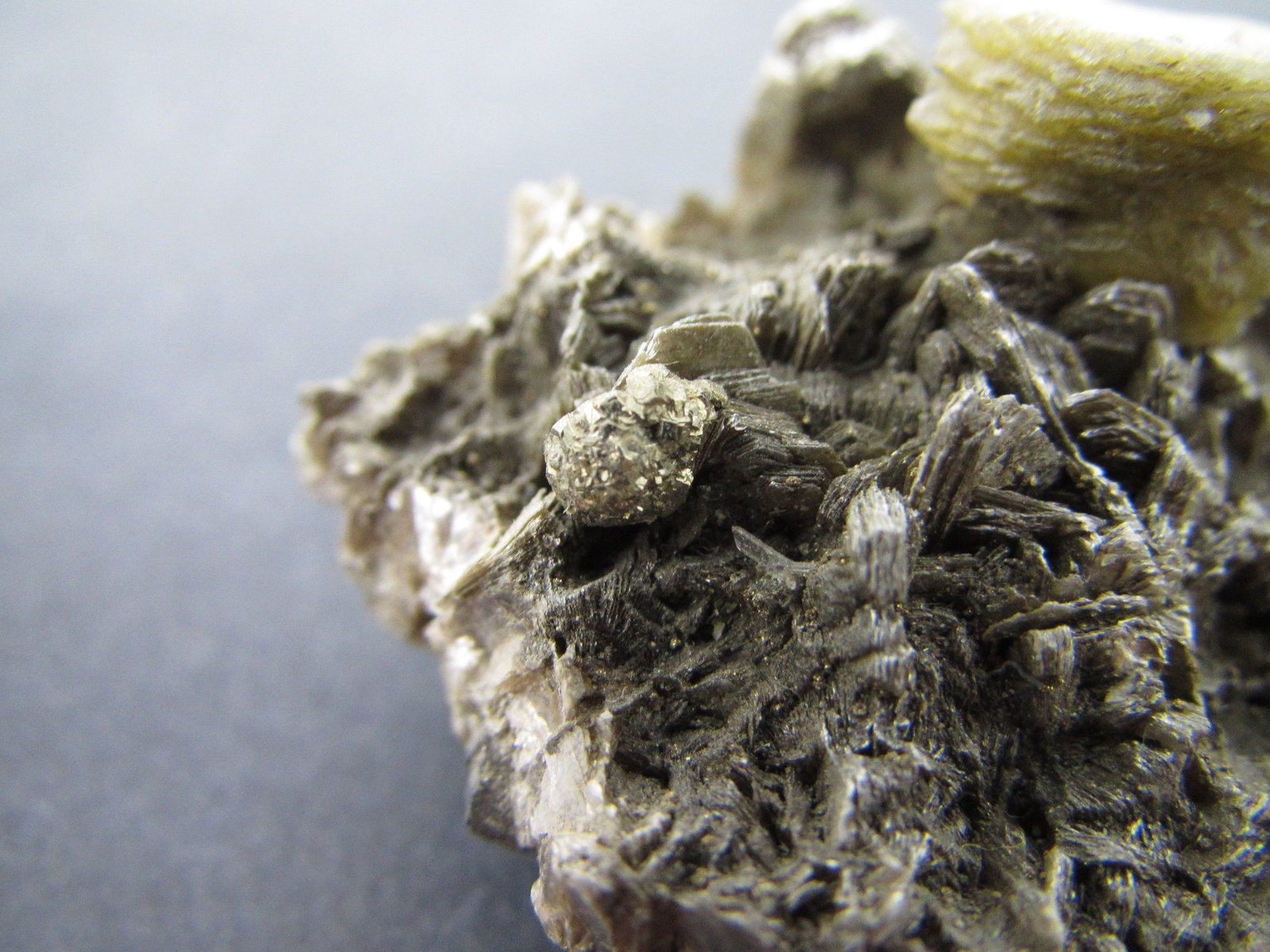 Pirita, moscovita
4 mm. el agregado globular central
(Autor: prcantos)