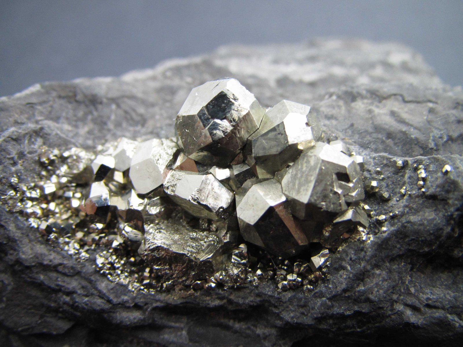 Pirita
4 cm. ancho de campo
(Autor: prcantos)
