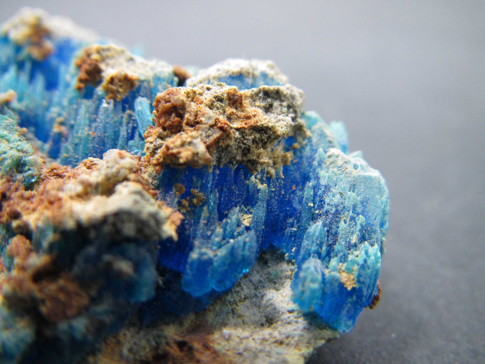 Calcantita
2'5 cm. ancho de campo
(Autor: prcantos)