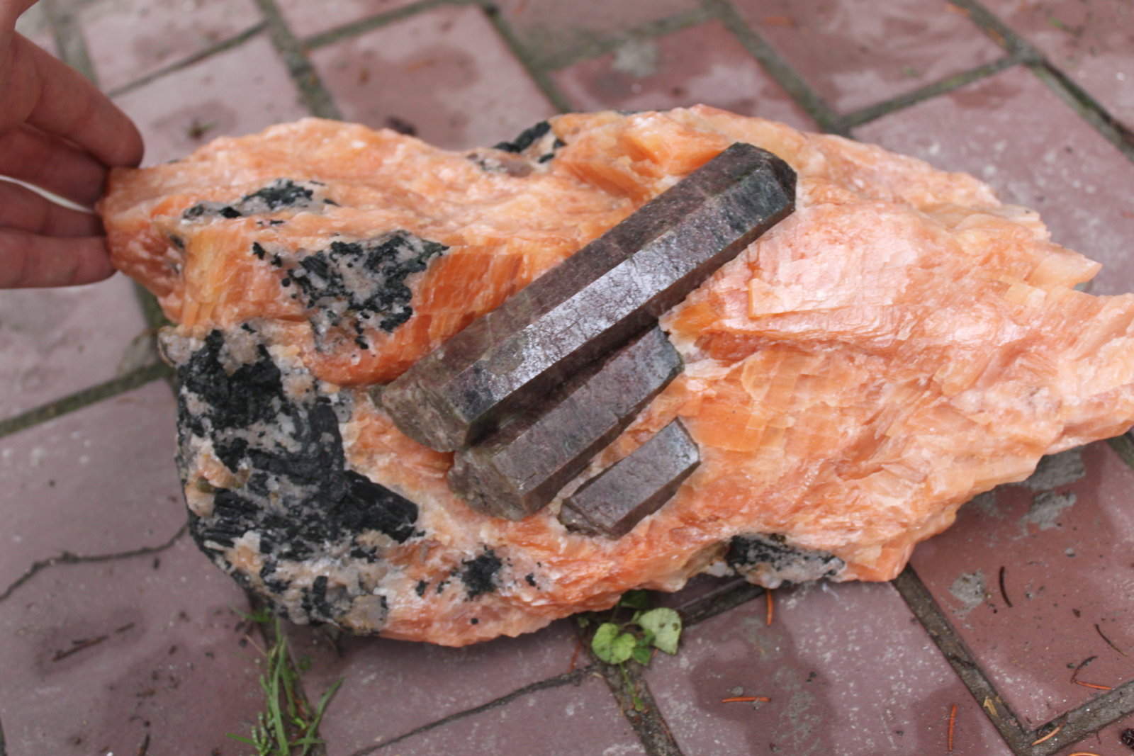 Fluorapatito, Calcita, Augita, Fluorita.
40 x 20 x 20 cm aprox.
(Autor: Ivan Blanco (PDM))