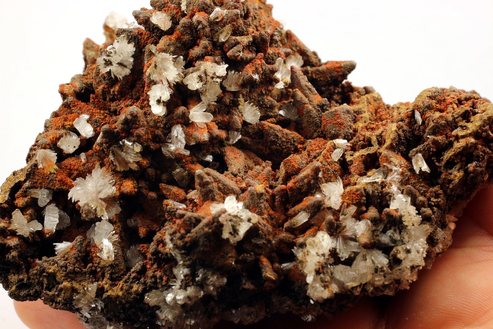 Goethita pseudo Calcita y Hemimorfita
10.1 x 9 x 5.5 centimetros
(Autor: Ricardo Melendez)