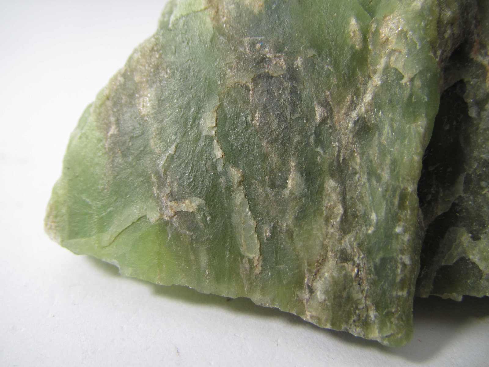 Nefrita (variedad de anfibolita)
4 cm. ancho de campo
(Autor: prcantos)
