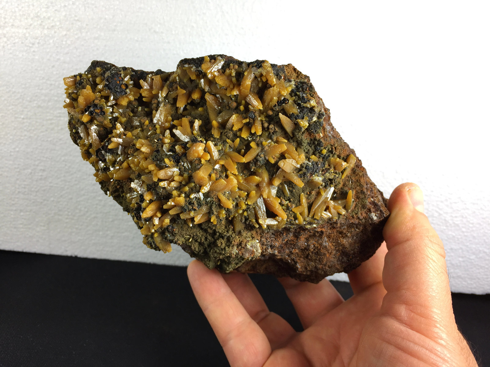 Wulfenita, Mimetita, Goethita
16.4 x 11 x 6.5 centimetros
(Autor: Ricardo Melendez)