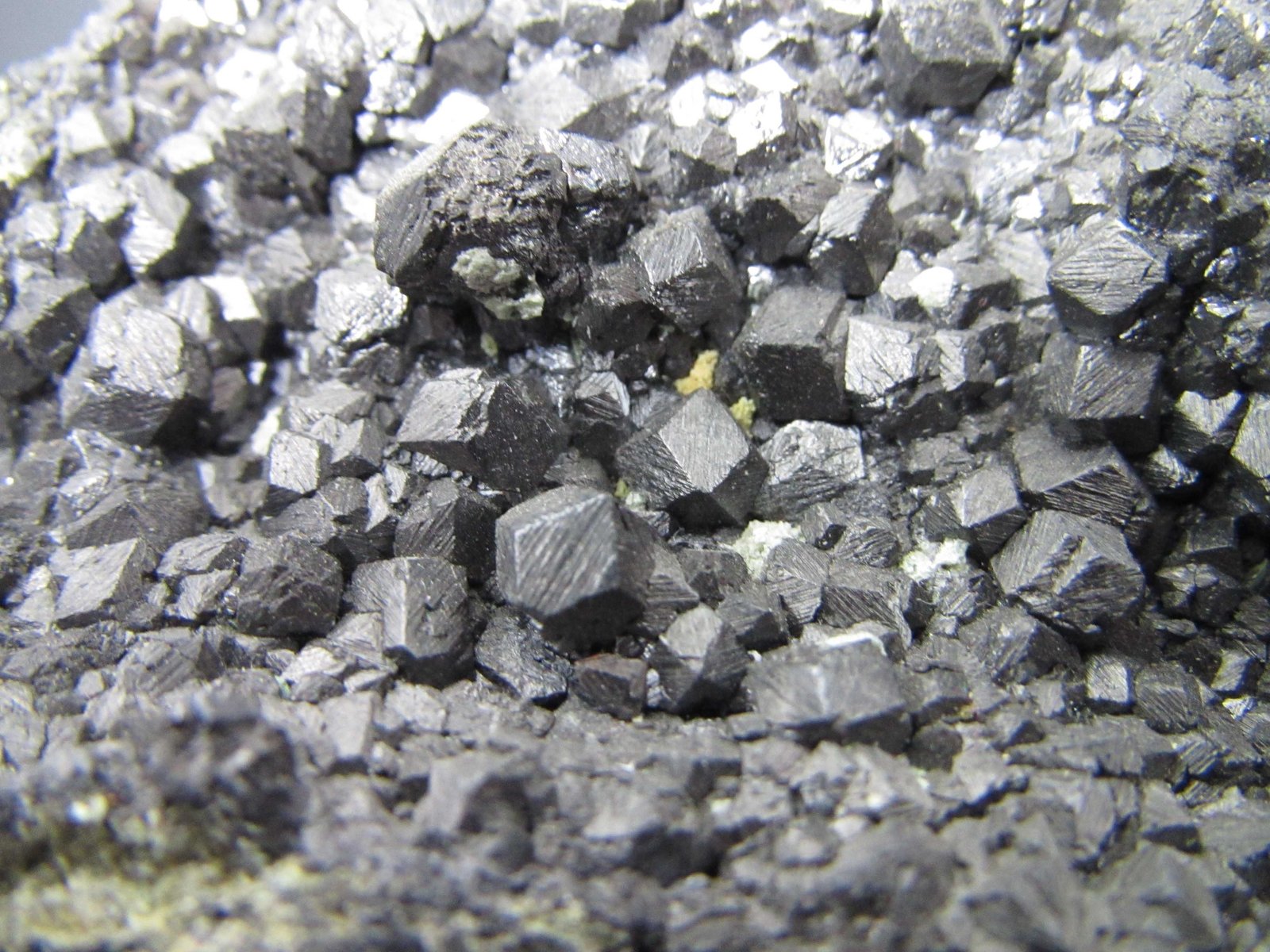 Magnetita
4 cm. ancho de campo
(Autor: prcantos)