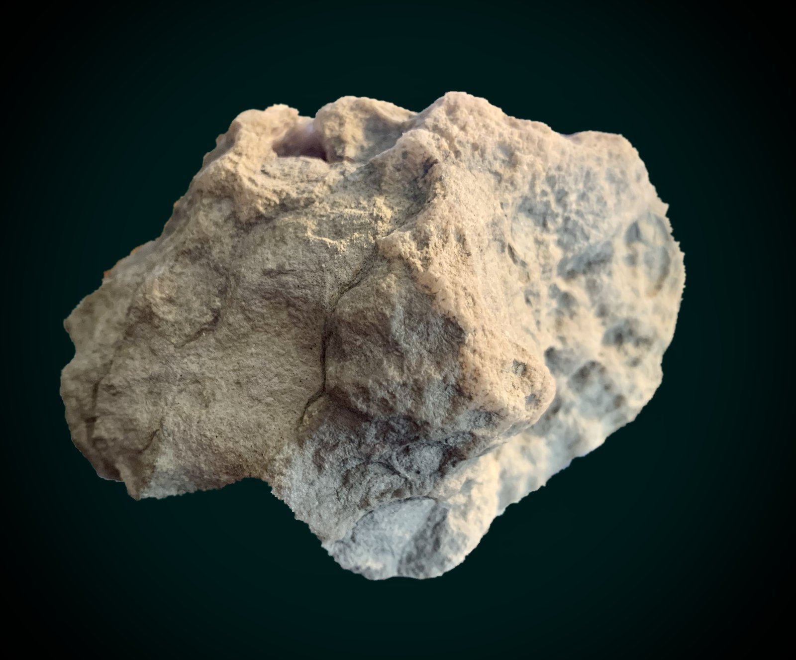 Celestina
10,5 x 7 cm
(Autor: Pedro FD)