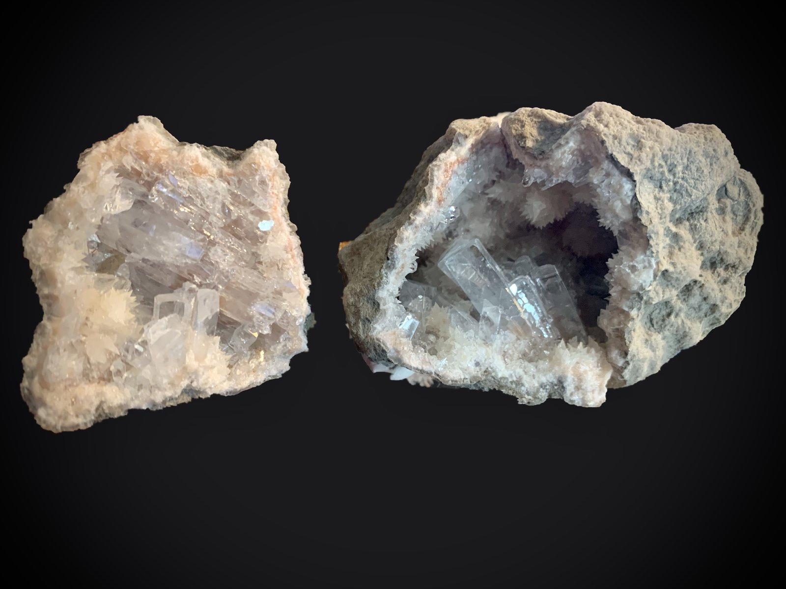 Celestina
10,5 x 7 cm
(Autor: Pedro FD)