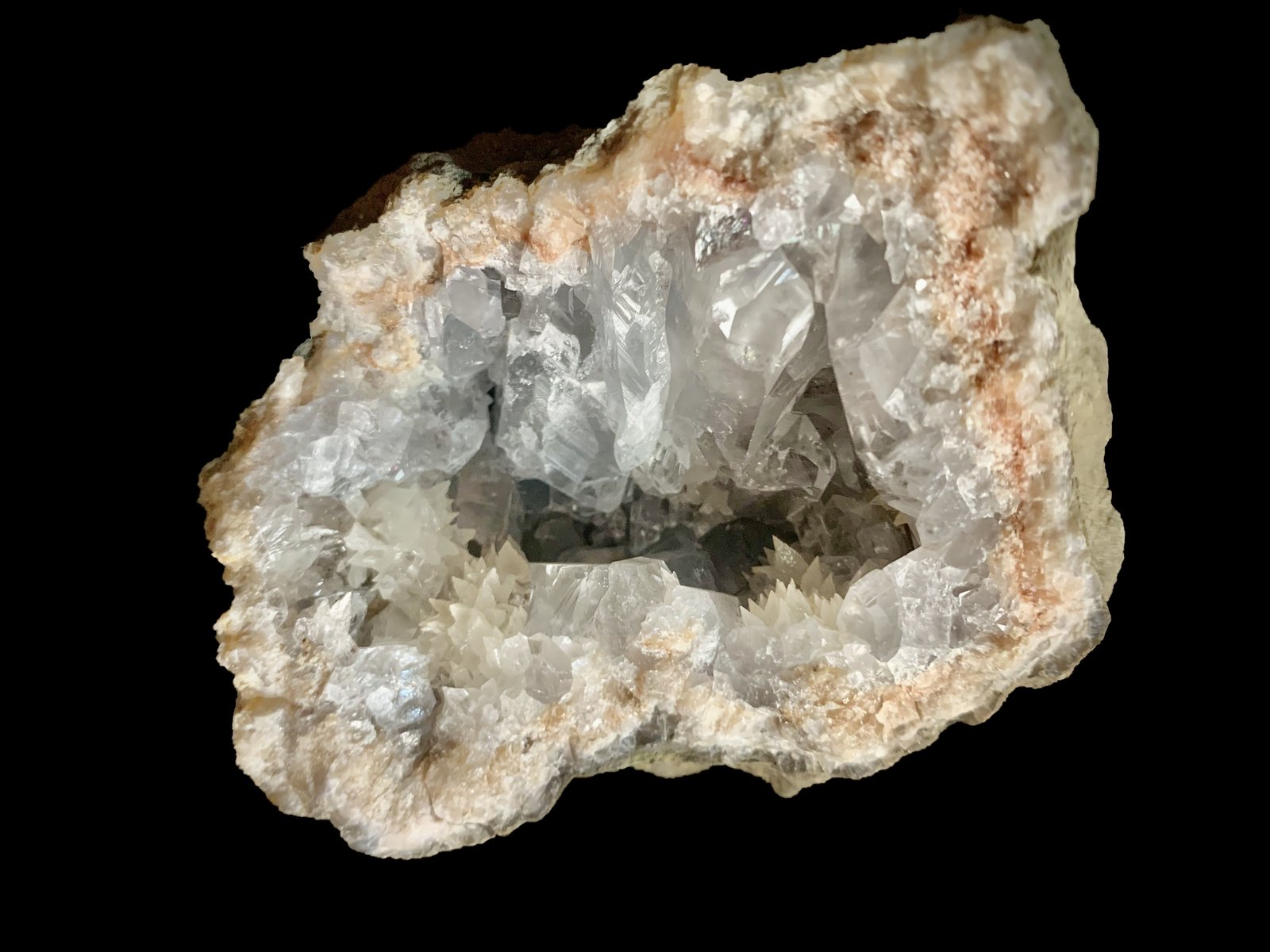 Celestina
8 x 8 cm
(Autor: Pedro FD)