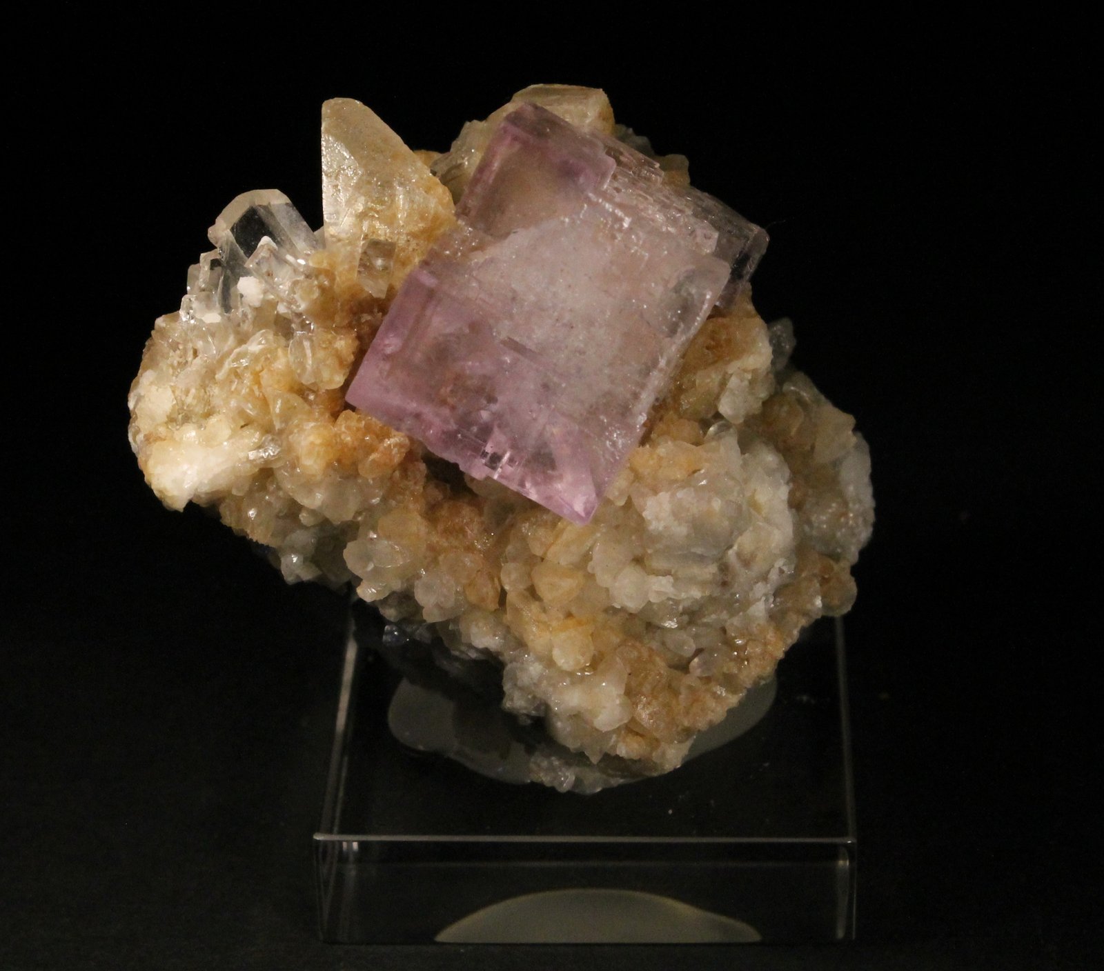Fluorita y Calcita
6 x 5 cm. (Fluorita: 2 cm).
(Autor: Darío Menéndez)