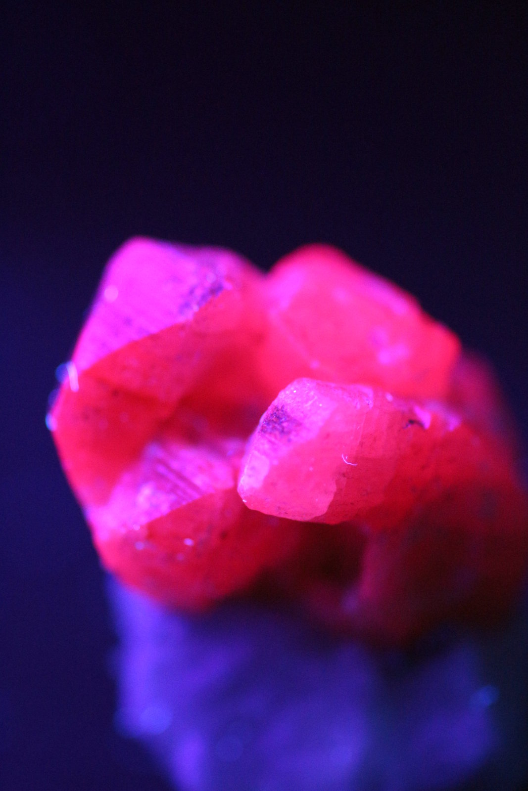 Corindón (variedad rubí)
3.8 x 2.5 x 2.1 centimetros
(Autor: Ricardo Melendez)