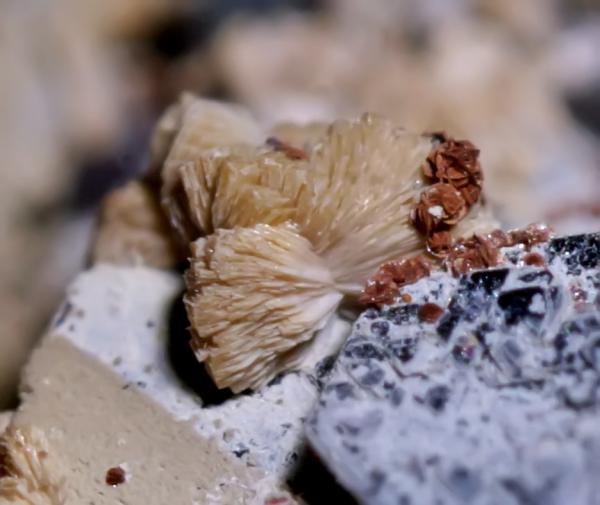 Titanita, Hematites, Chamosita, Fluorita.
3 mm.
(Autor: usoz)